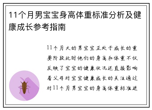 11个月男宝宝身高体重标准分析及健康成长参考指南